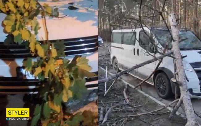 У Києві через штормовий вітер почався деревопад: розбиті автівки в різних районах (відео)