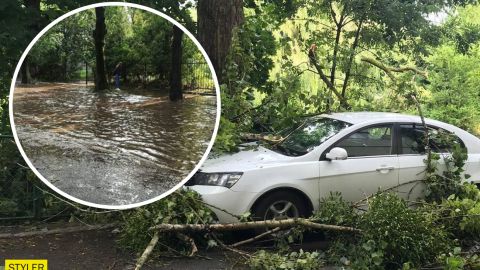 Львов снова накрыло ураганом: поваленные деревья и отключена электрика