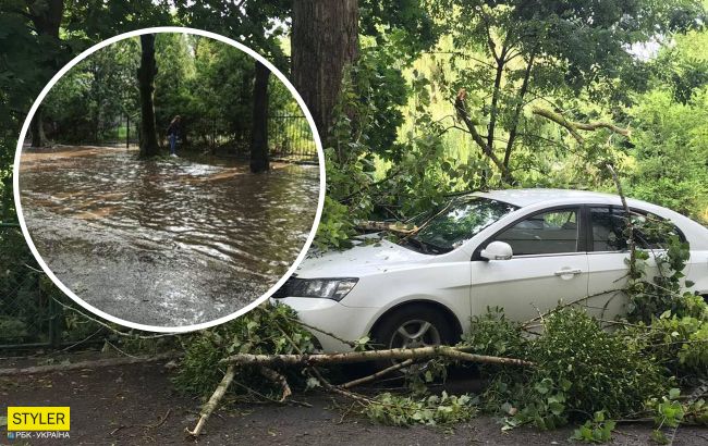 Львів знову накрило ураганом: повалені дерева і відключена електрика
