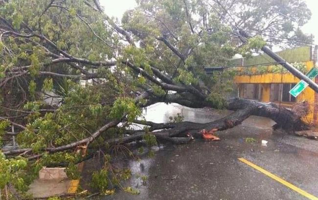 Ураган "Лаура" в США усилился до предпоследней категории