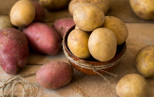 Як зрозуміти, що пора збирати урожай картоплі та цибулі: основні ознаки