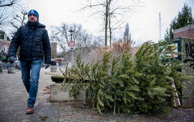 Утилизация новогодних елок: где и как сдать дерево в Киеве