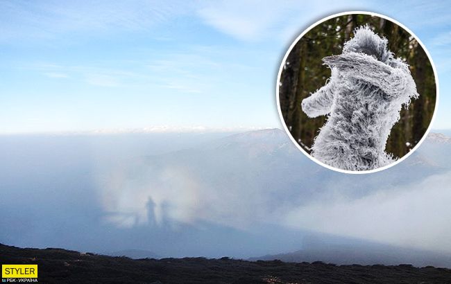 В Карпатах в об'єктив камери попався "гірський привид": вражаюче фото