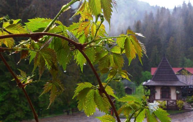 Погода на сьогодні: на заході України дощі, температура до +28