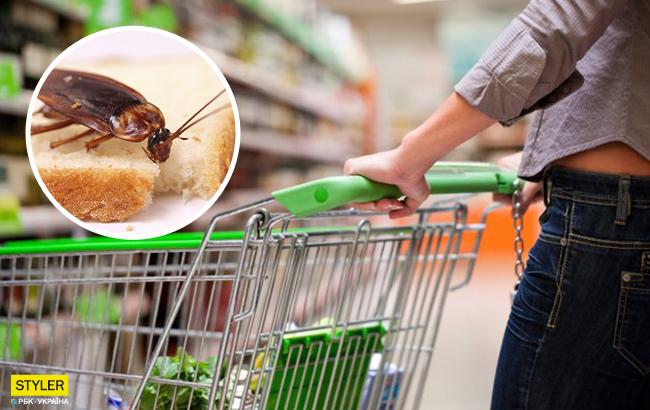 В супермаркетах, ресторанах и общепитах не хотят принимать меры против вредоносных насекомых