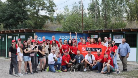 Рядом, чтобы помогать: Purina® и "Зоопатруль" объединились для спасения животных