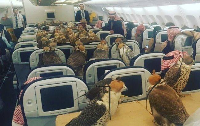 Принц Саудівської Аравії викупив 80 місць в літаку для яструбів