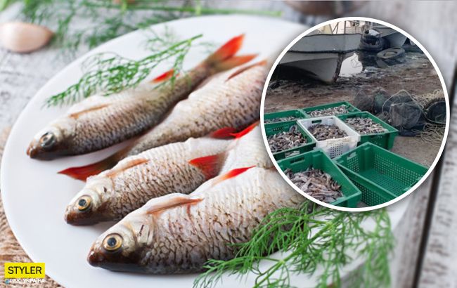 Українці можуть залишитися без риби: екологи б'ють на сполох