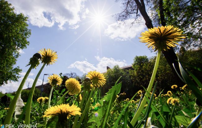 На Украину надвигается атмосферный фронт: как изменится погода на неделе