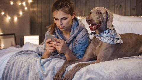 Документ для тварини на все життя: як оформити ветпаспорт і не отримати відмову