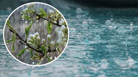 Україну накриє лютим штормом: де будуть зливи з градом