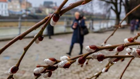 Погода на сегодня: на западе Украины дожди, днем до +17