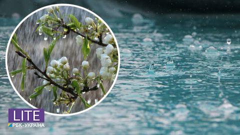 Діставайте парасолі: синоптики розповіли, де пройдуть дощі з грозами