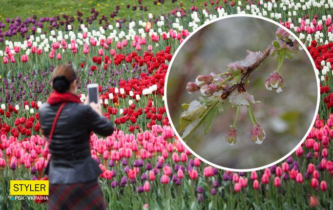 Контраст від -3 до +23 градусів: синоптики попередили про погодні сюрпризи