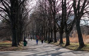 Сніг і заморозки не вічні: яка погода в Україні завтра, що на Великдень і коли повернеться тепло