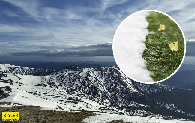Зима відступає: у Карпатах стартувала справжня весна (фото)