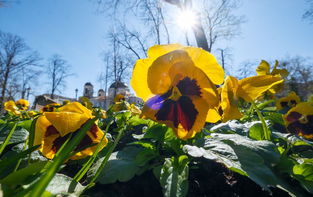 Погода в Україні змінюється: в які області завтра прийде дощ і де прогріє до +18