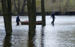Річки можуть вийти з берегів: яка погода буде в Україні завтра й де чекати опадів