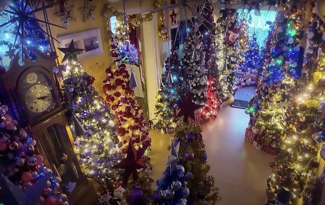 Вы еще не украсили елку? А эта семья установила мировой рекорд по количеству елок в одном доме