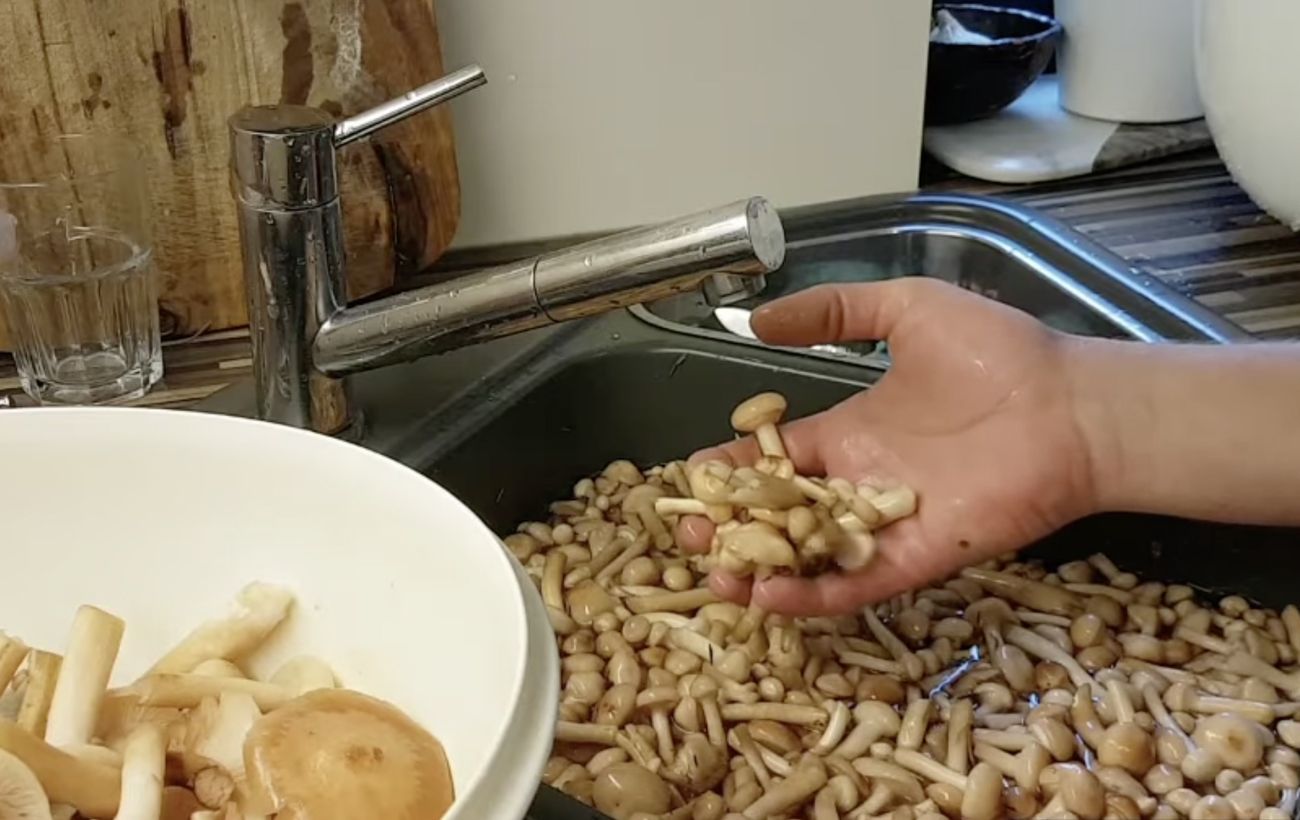 Опеньки без піску та листя: простий спосіб очищення, який працює завжди