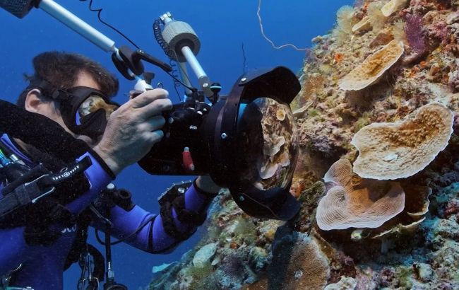 "Невероятное открытие": у берегов Таити обнаружили большой нетронутый коралловый риф