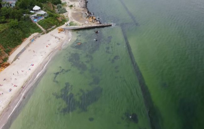 Стало "зеленим": в Одесі "зацвіло" море через сміття