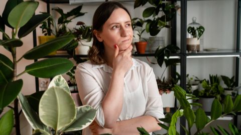 Їдете у відпустку? 6 способів, як не дати рослинам засохнути