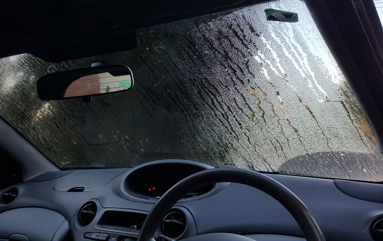 Головний ворог авто взимку: як швидко прибрати сирість в салоні назавжди