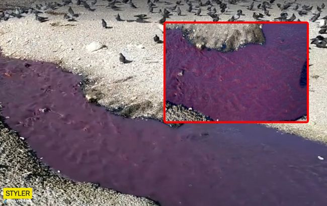 Багряні ріки: в окупованому Криму сталася екологічна НП (відео)