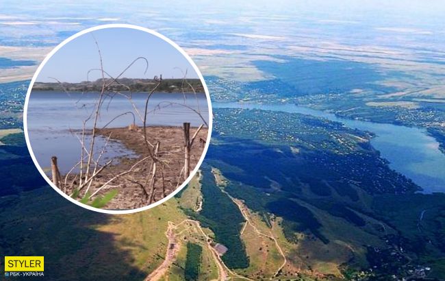 Бойовики довели Донбас до екокатастрофи: з'явилося відео загибелі природи