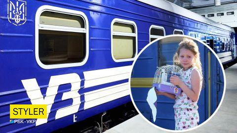 Ххх томпақ қыздарды қараңыз