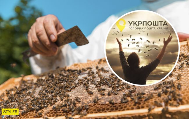 "Воскреслих" бджіл ніхто забирати не хоче: в Укрпошті зробили заяву