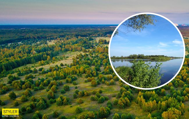 У Чорнобилі показали на яскравих фото заблукалого морського птаха-пірнальщика