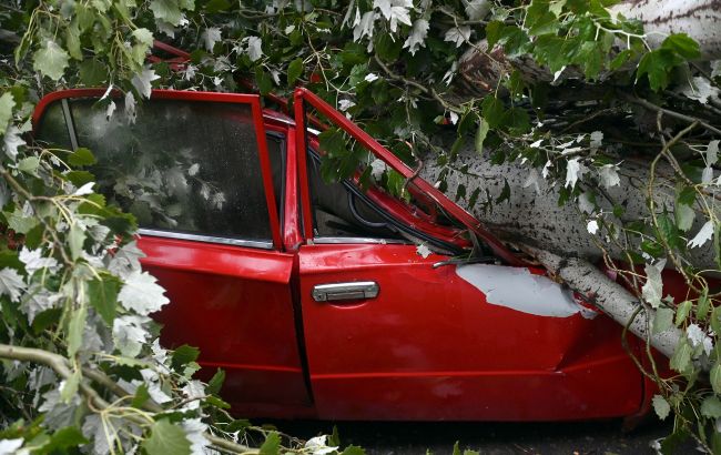 Непогода в Киеве повалила деревья, затопила улицы и переходы (фото, видео)