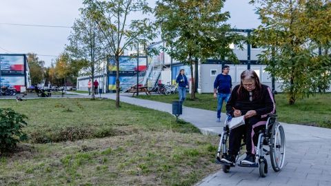 Виплати ВПО з інвалідністю надійдуть з березня попри терміни обробки заяви: названо умови
