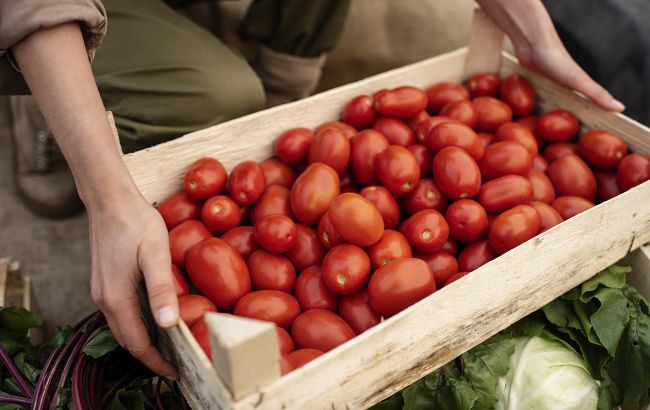Как правильно собирать и хранить урожай помидоров: запомните этот важный нюанс