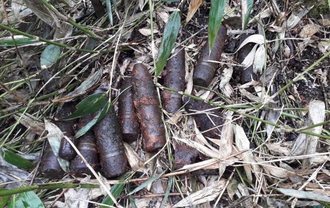 В Киеве в ботсаду Гришко нашли боеприпасы