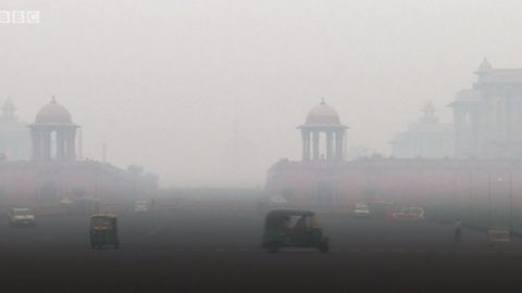 В Индии загрязнение воздуха достигло критического уровня