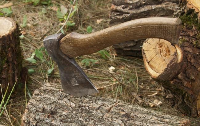 Башкирские дети ходят в школу с топорами, чтобы отбиваться от диких зверей