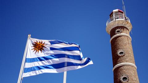 Уругвай присоединился к расследованию поставок кокаина в Россию