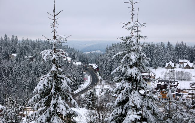 В Карпаты вернулась зима: на горе Поп Иван выпал снег и ударил мороз в -8 градусов