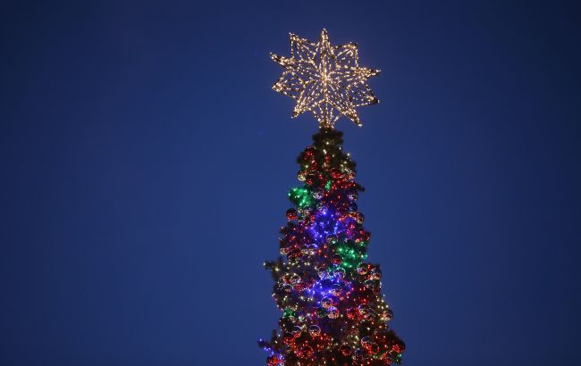 Українцям нагадали про штрафи за вирубку ялинок: скільки доведеться заплатити