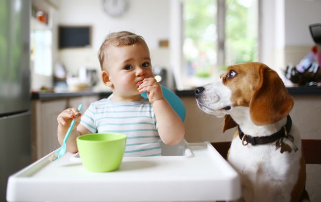 "Без дітей і тварин": чому українцям масово відмовляють в оренді житла