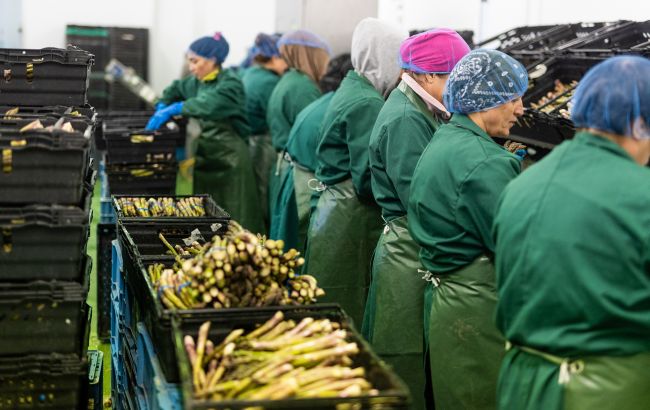 Работа в Польше для украинцев: какие вакансии предлагают и кого будут искать в 2026 году