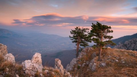 В Крыму земли заповедника передали в собственность России