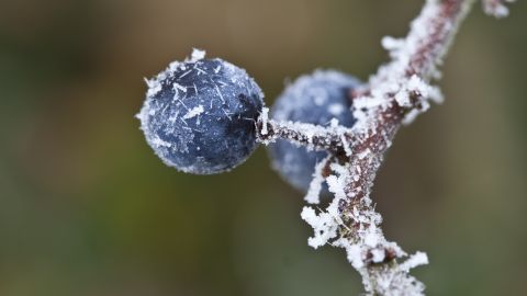 Ночь будет с морозами. Синоптик дала прогноз погоды на завтра