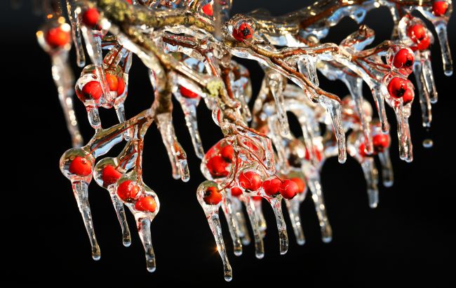 Зима приближается? Синоптики дали прогноз на новую рабочую неделю в Украине