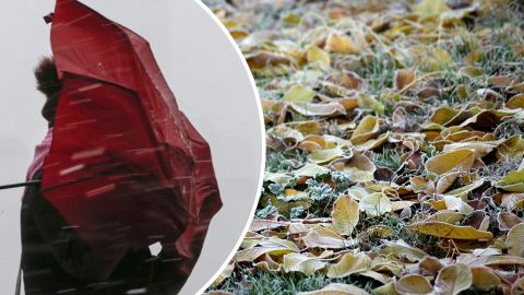 Украинцам пообещали дожди на Новый год: праздничного снега не будет