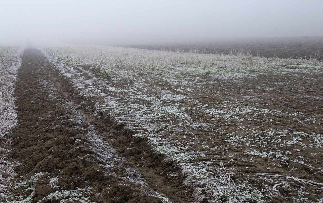 Більшість областей України вночі накриють заморозки (карта)