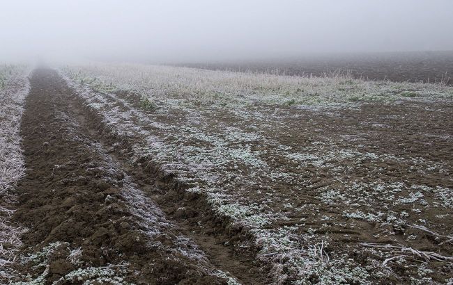 Большинство областей Украины ночью накроют заморозки (карта)